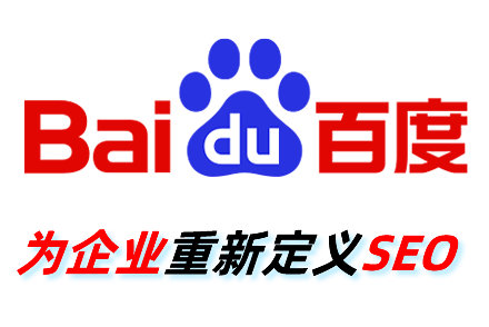 专业网站优化